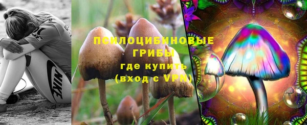 эйфоретик Алексин