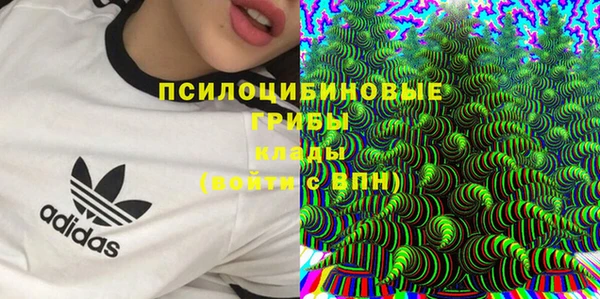 соль ск Навашино