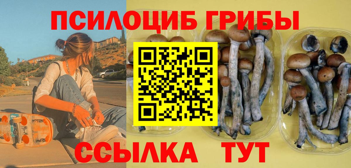 Псилоцибиновые грибы Psilocybine cubensis Йошкар-Ола