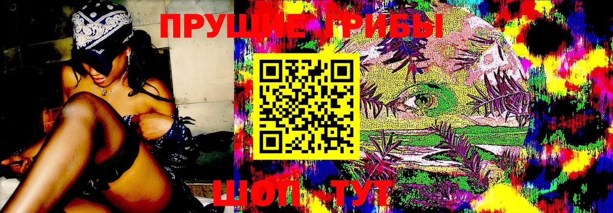 Галлюциногенные грибы прущие грибы  Вход с VPN  Йошкар-Ола  Псилоцибиновые грибы мухоморы 